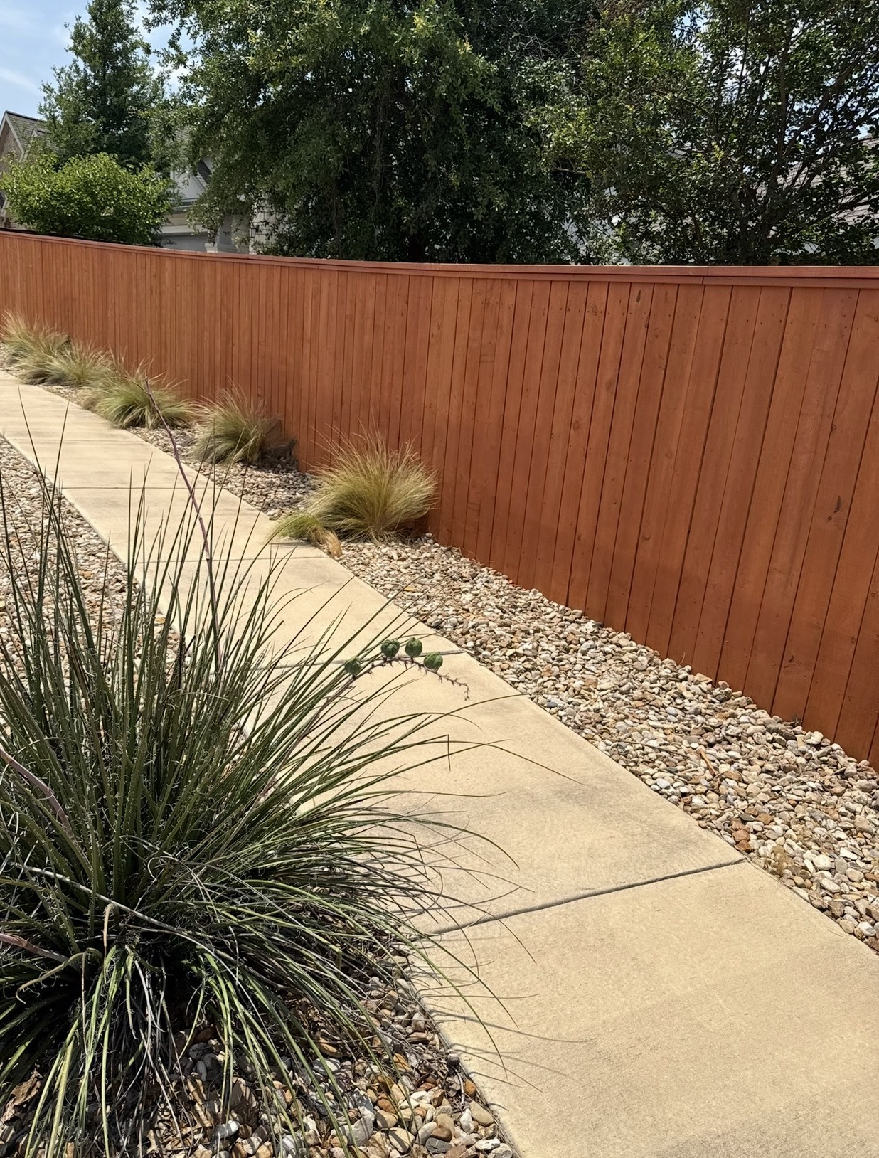Stained wood fence beside landscaped walkway